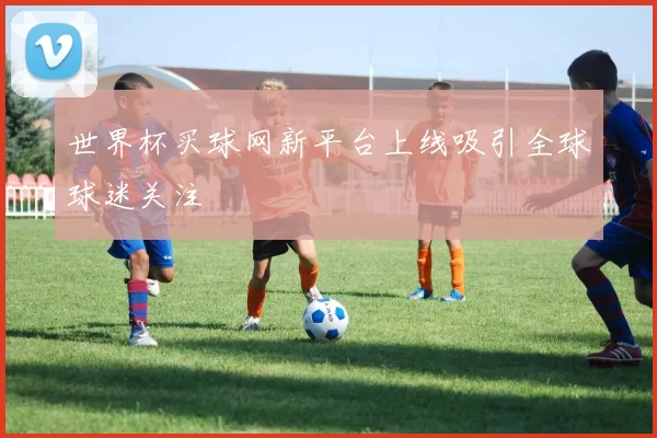 世界杯买球网新平台上线吸引全球球迷关注