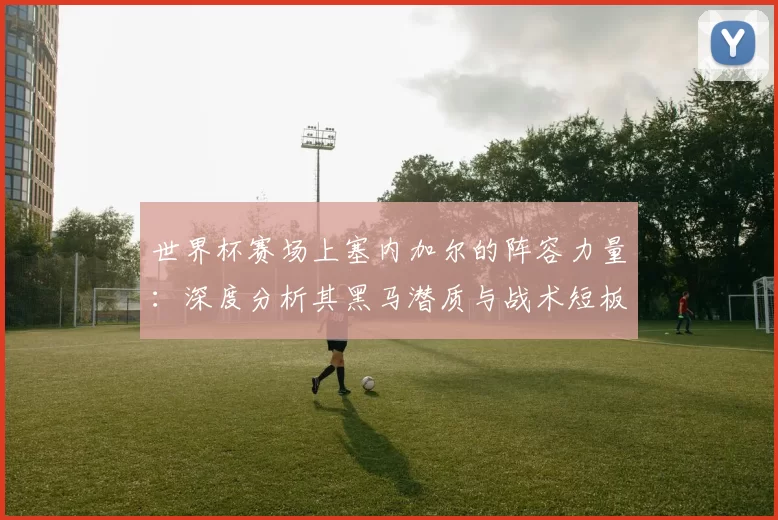 世界杯赛场上塞内加尔的阵容力量：深度分析其黑马潜质与战术短板