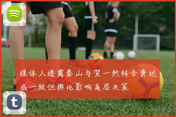 媒体人透露泰山与贺一然转会费达成一致但舆论影响高层决策