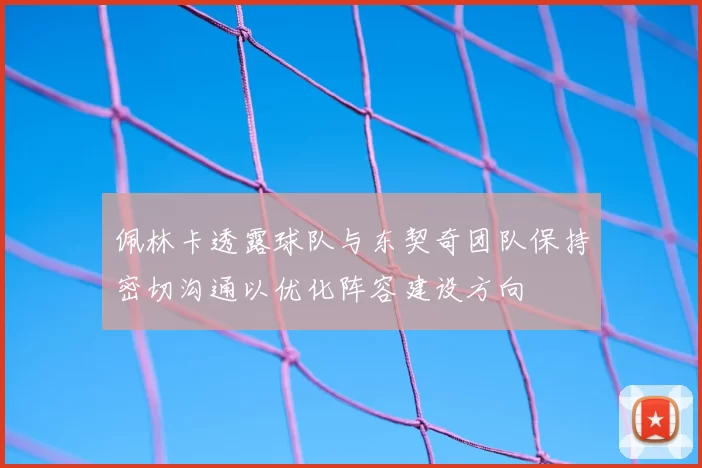 佩林卡透露球队与东契奇团队保持密切沟通以优化阵容建设方向