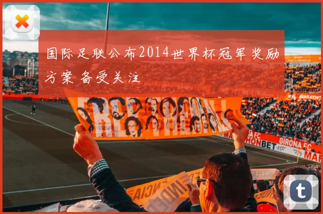 国际足联公布2014世界杯冠军奖励方案 备受关注
