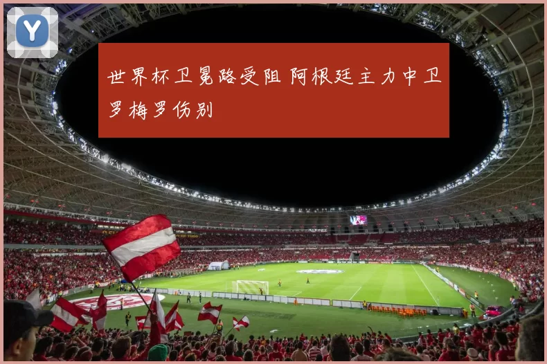 世界杯卫冕路受阻 阿根廷主力中卫罗梅罗伤别