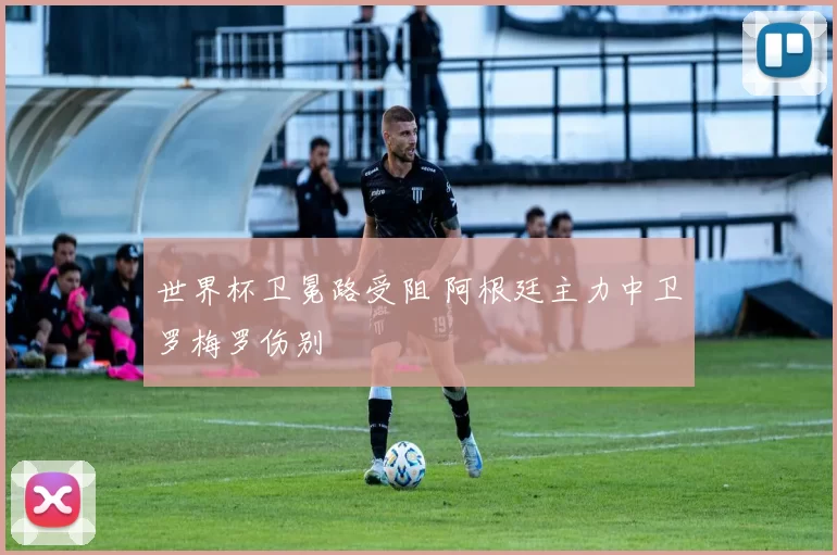 世界杯卫冕路受阻 阿根廷主力中卫罗梅罗伤别
