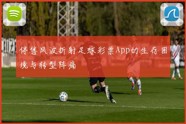 停售风波折射足球彩票App的生存困境与转型阵痛