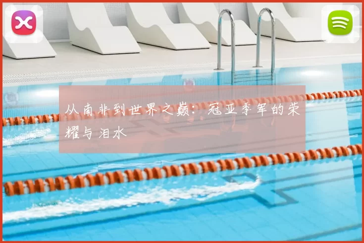 从南非到世界之巅:冠亚季军的荣耀与泪水