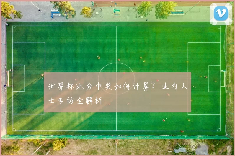 世界杯比分中奖如何计算?业内人士专访全解析