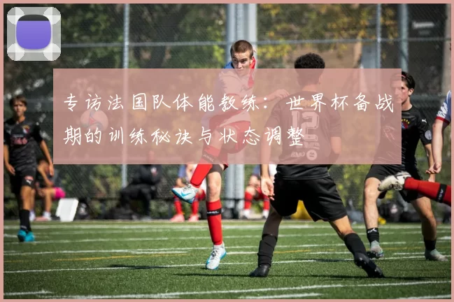 专访法国队体能教练:世界杯备战期的训练秘诀与状态调整
