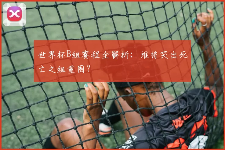 世界杯B组赛程全解析:谁将突出死亡之组重围?