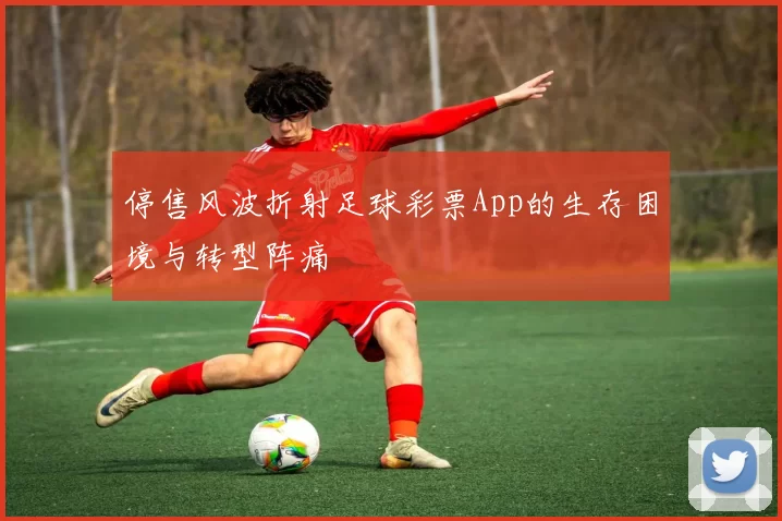 停售风波折射足球彩票App的生存困境与转型阵痛