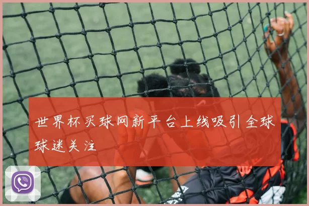 世界杯买球网新平台上线吸引全球球迷关注