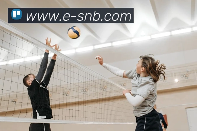 华体会平台生态图